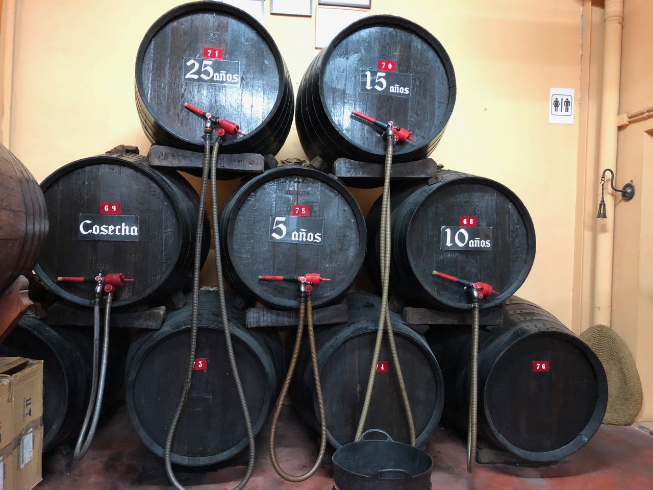 Jumilla Bodegas Silvano García wine aromas