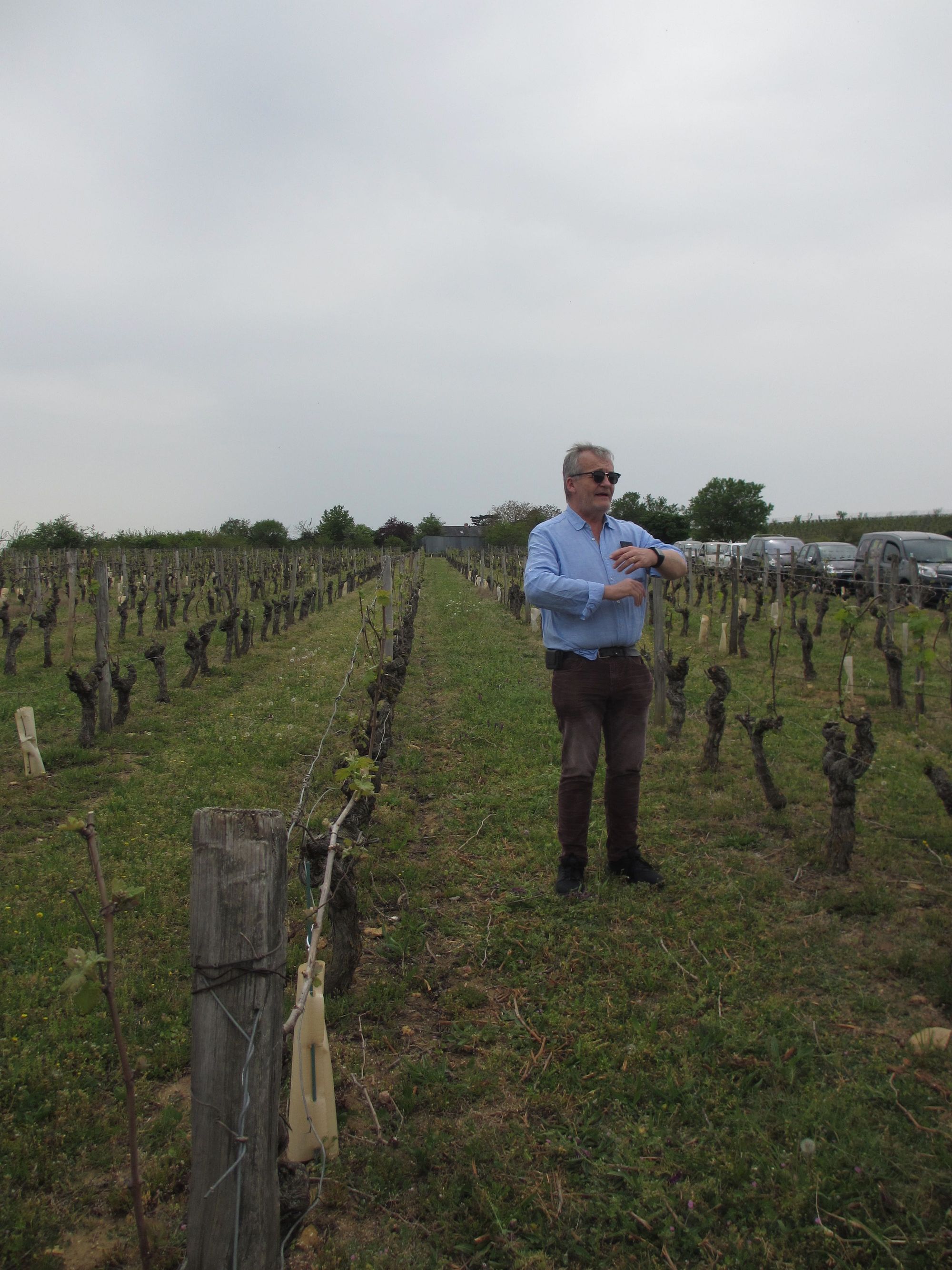 Pierre & Bertrand Couly - Bertrand Couly in Vineyard