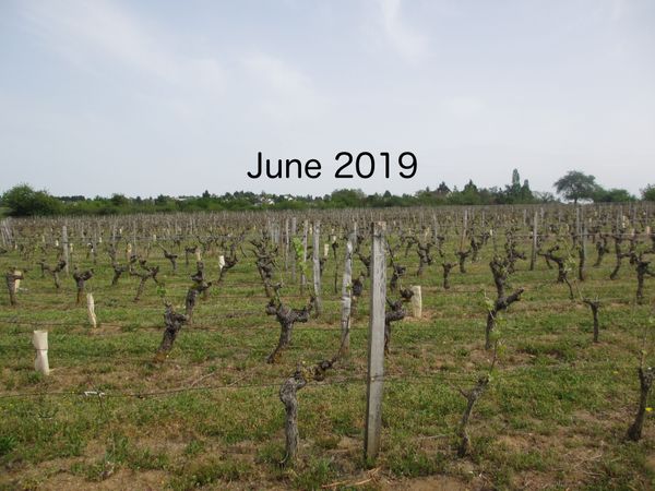 Articles - 2019 June